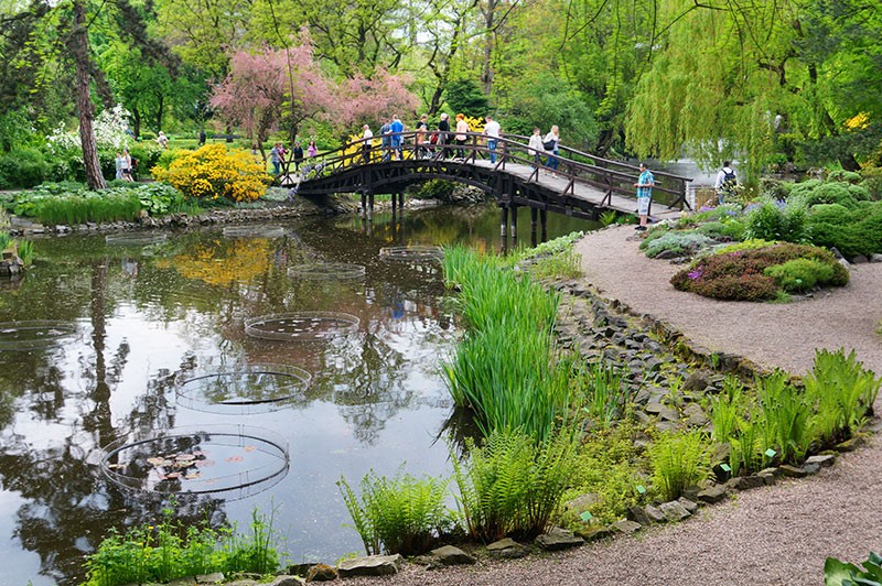 Ogród Botaniczny Wrocław