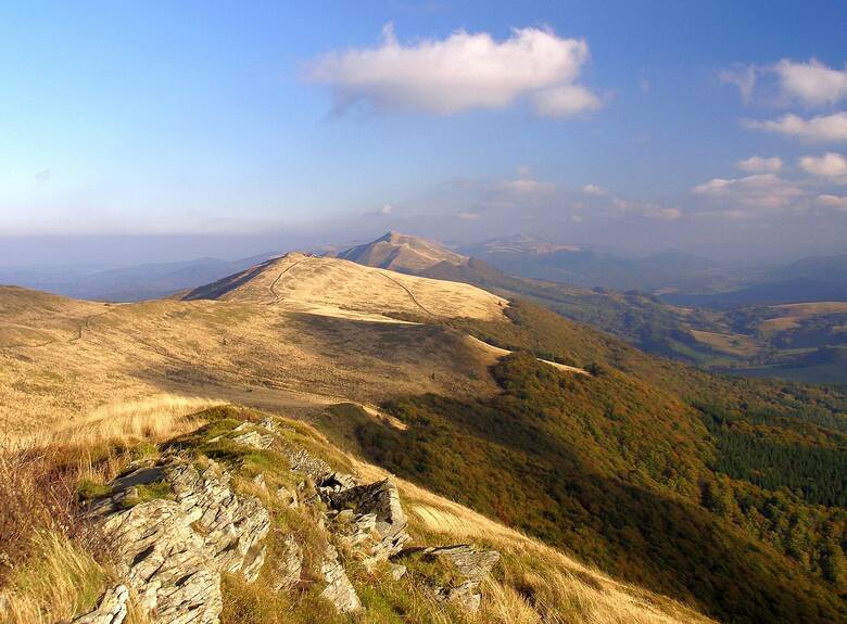 Dzika Natura (Bieszczady)