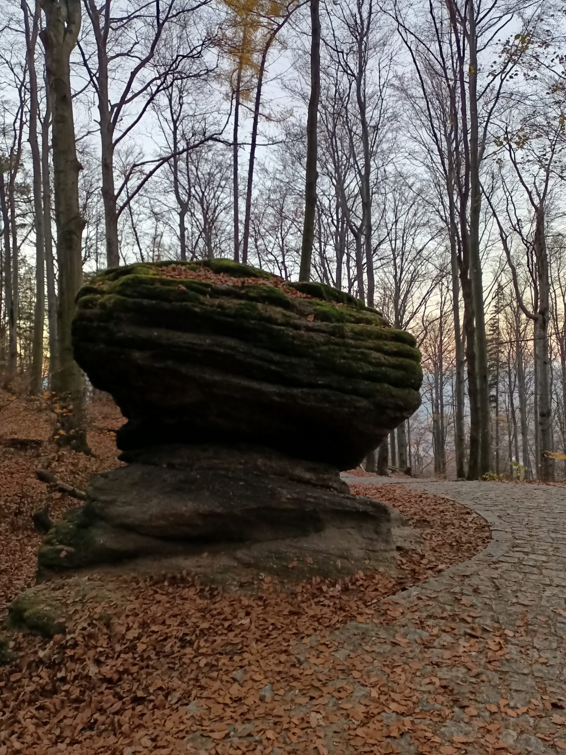 Zamek Chojnik: Niezdobyta Twierdza w Karkonoszach (Historia, Ciekawostki, Cennik, Mapa)