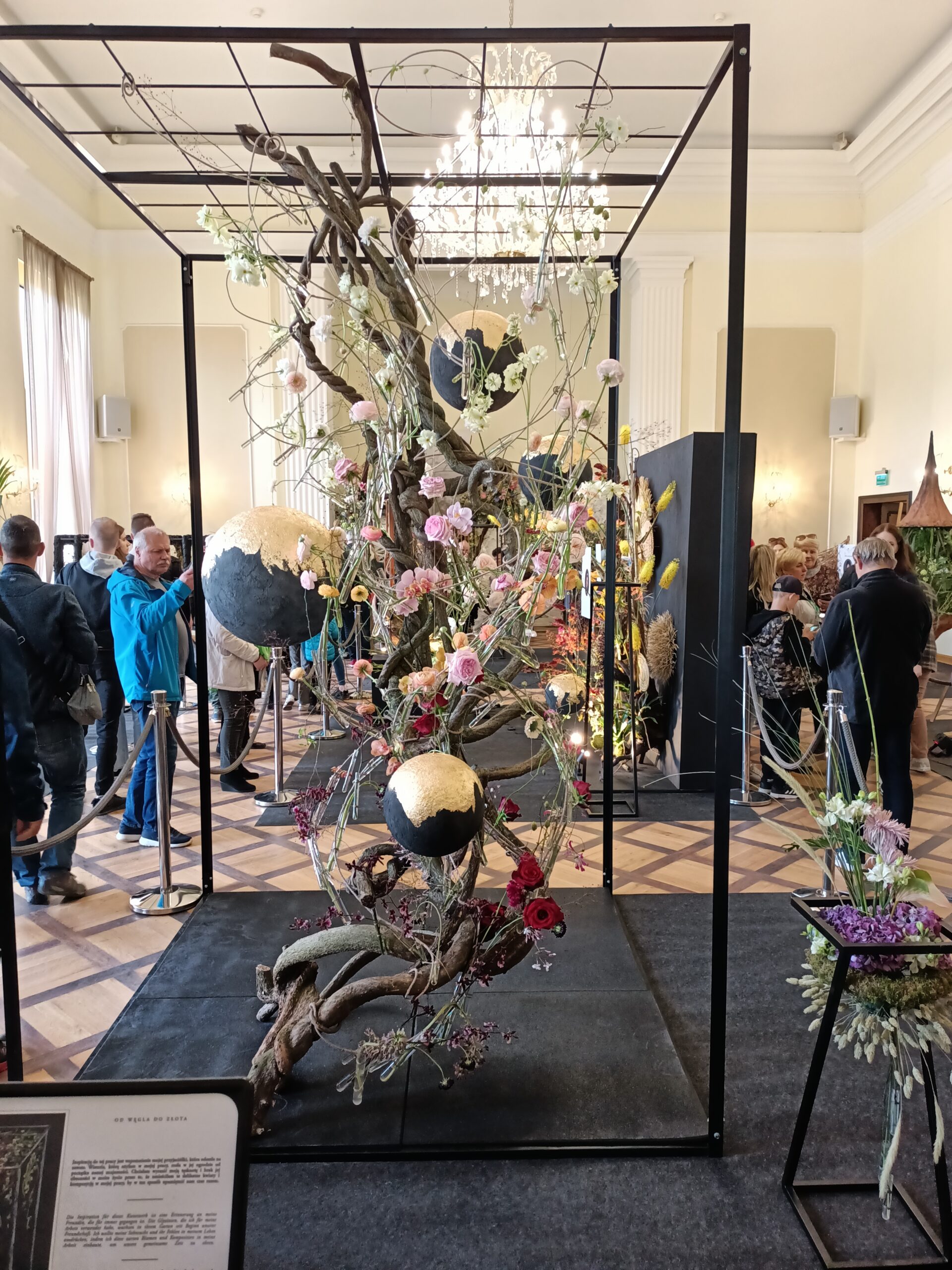 Zamek Książ w Wałbrzychu: Perła Dolnego Śląska (Historia, Ciekawostki, Cennik, Mapa)