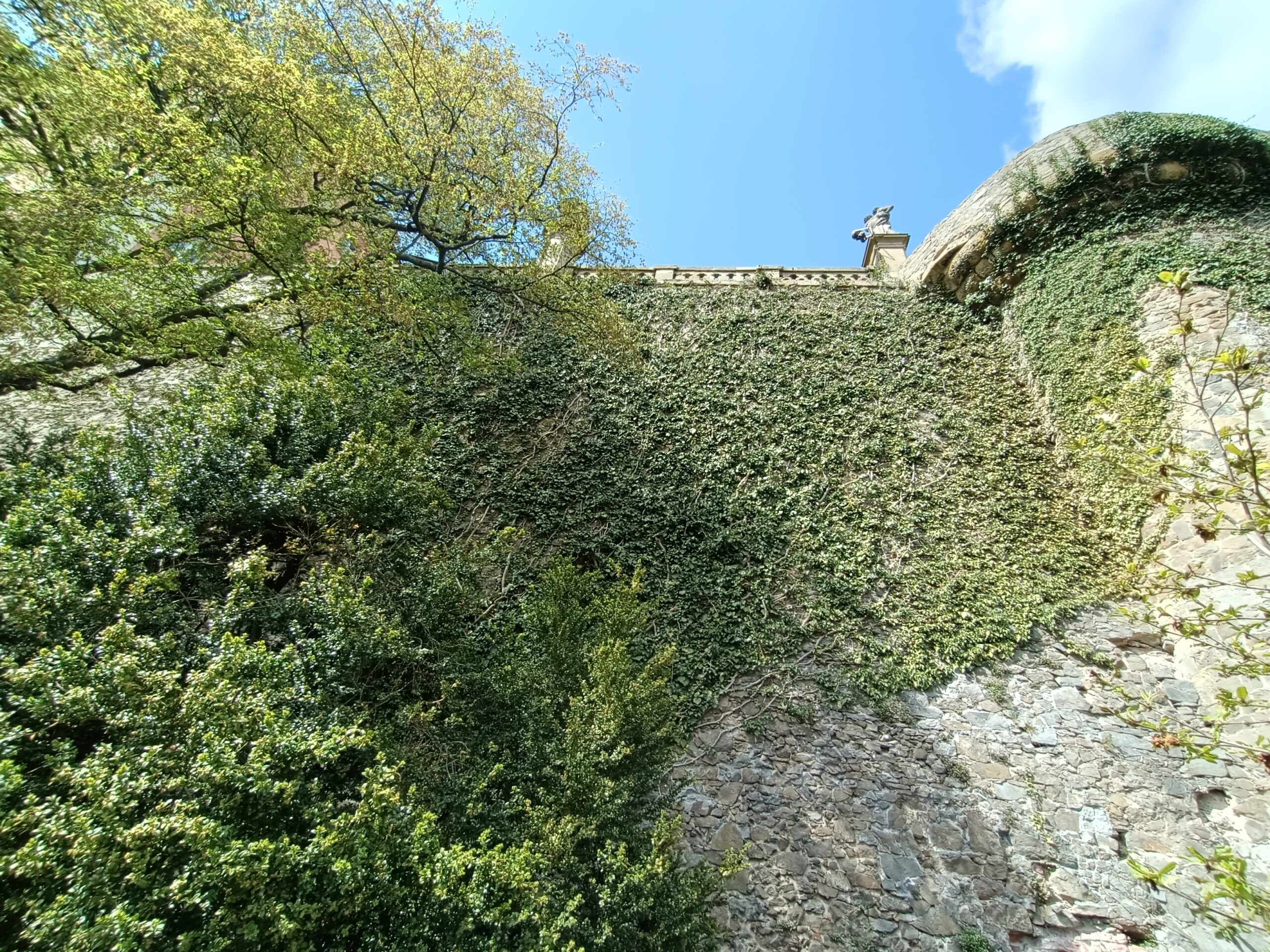 Zamek Książ w Wałbrzychu: Perła Dolnego Śląska (Historia, Ciekawostki, Cennik, Mapa)