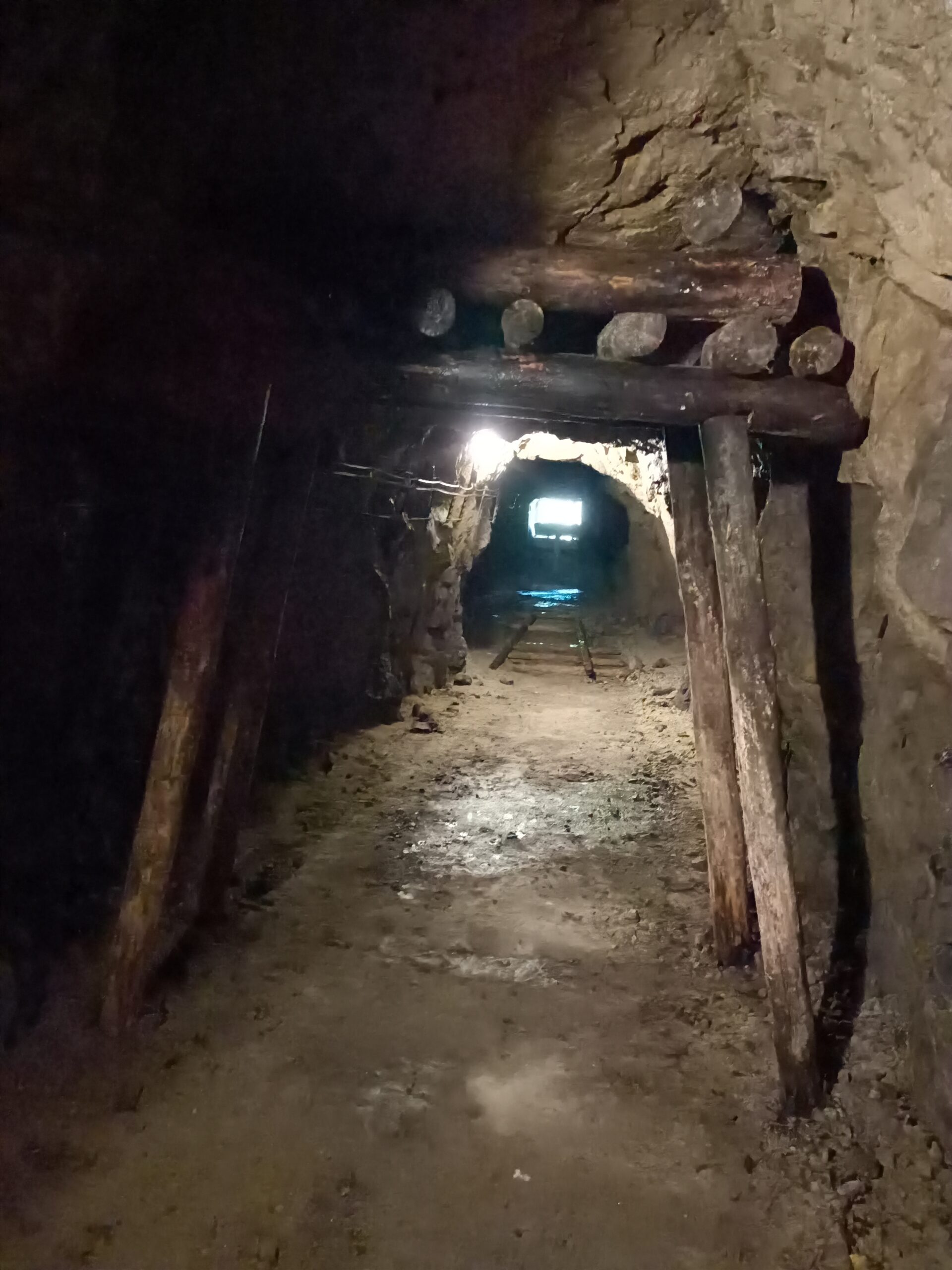 Zamek Książ w Wałbrzychu: Perła Dolnego Śląska (Historia, Ciekawostki, Cennik, Mapa)