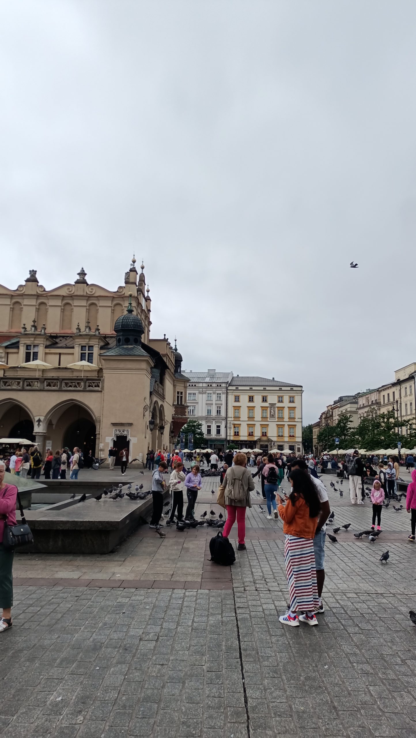 Kraków5