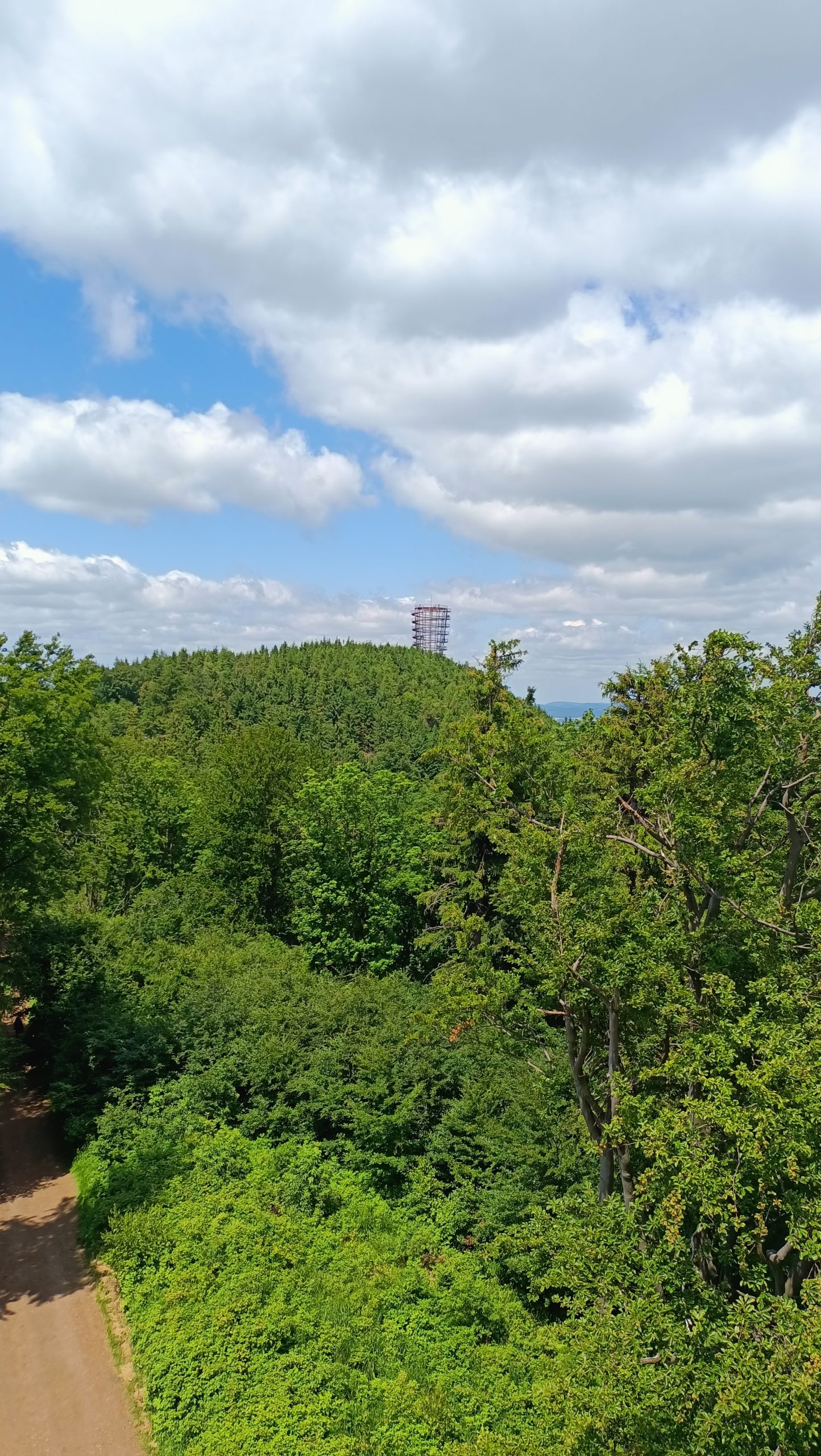 Dzikowiec Wielki: Nowa perła w koronie Sudetów. Dlaczego ta wieża widokowa to absolutny „must-see”?