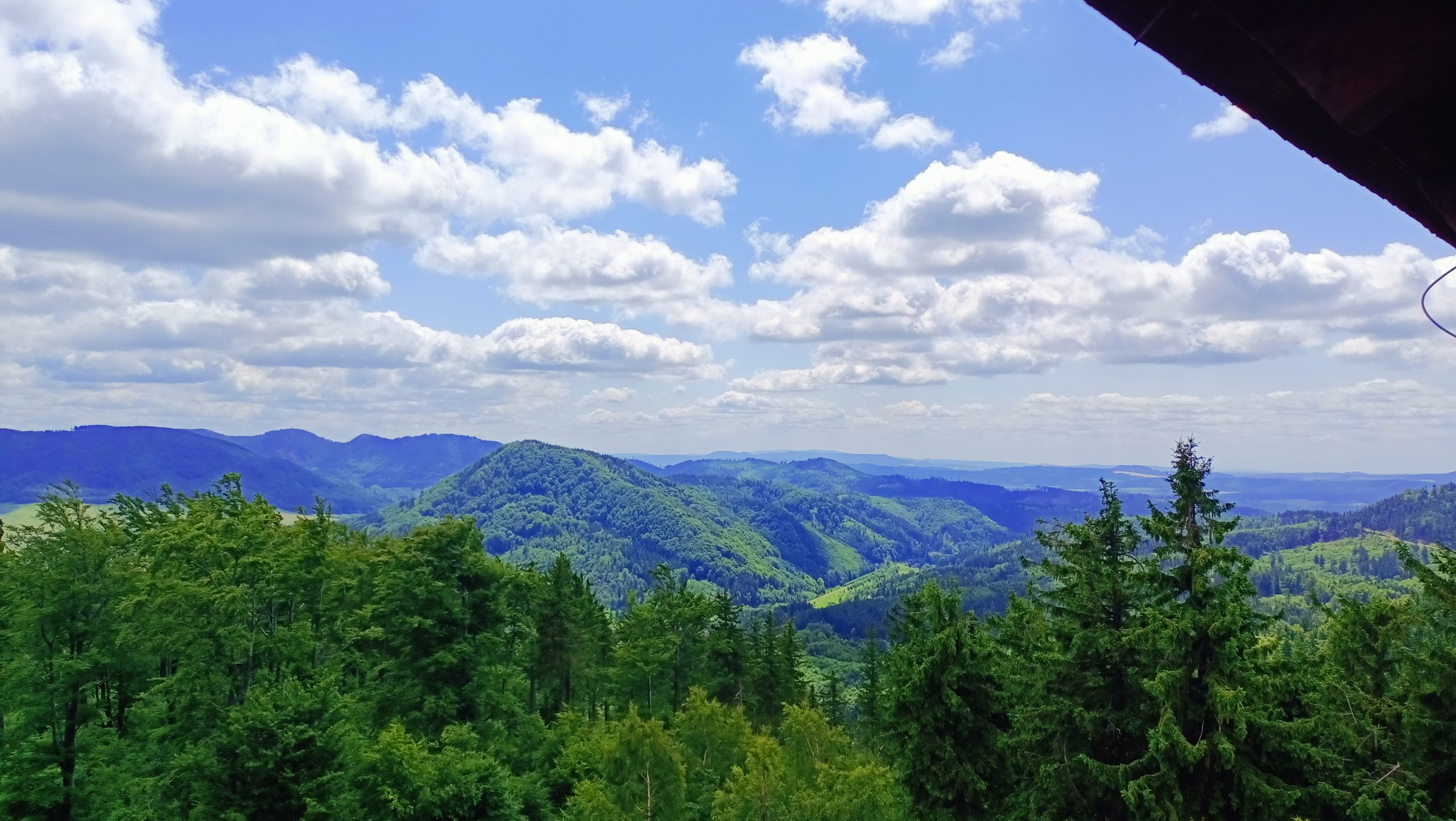 Dzikowiec Wielki: Nowa perła w koronie Sudetów. Dlaczego ta wieża widokowa to absolutny „must-see”?