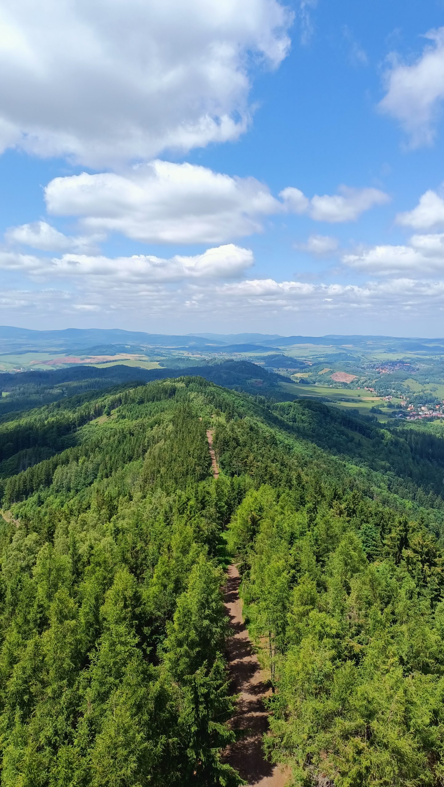 Dzikowiec Wielki: Nowa perła w koronie Sudetów. Dlaczego ta wieża widokowa to absolutny „must-see”?