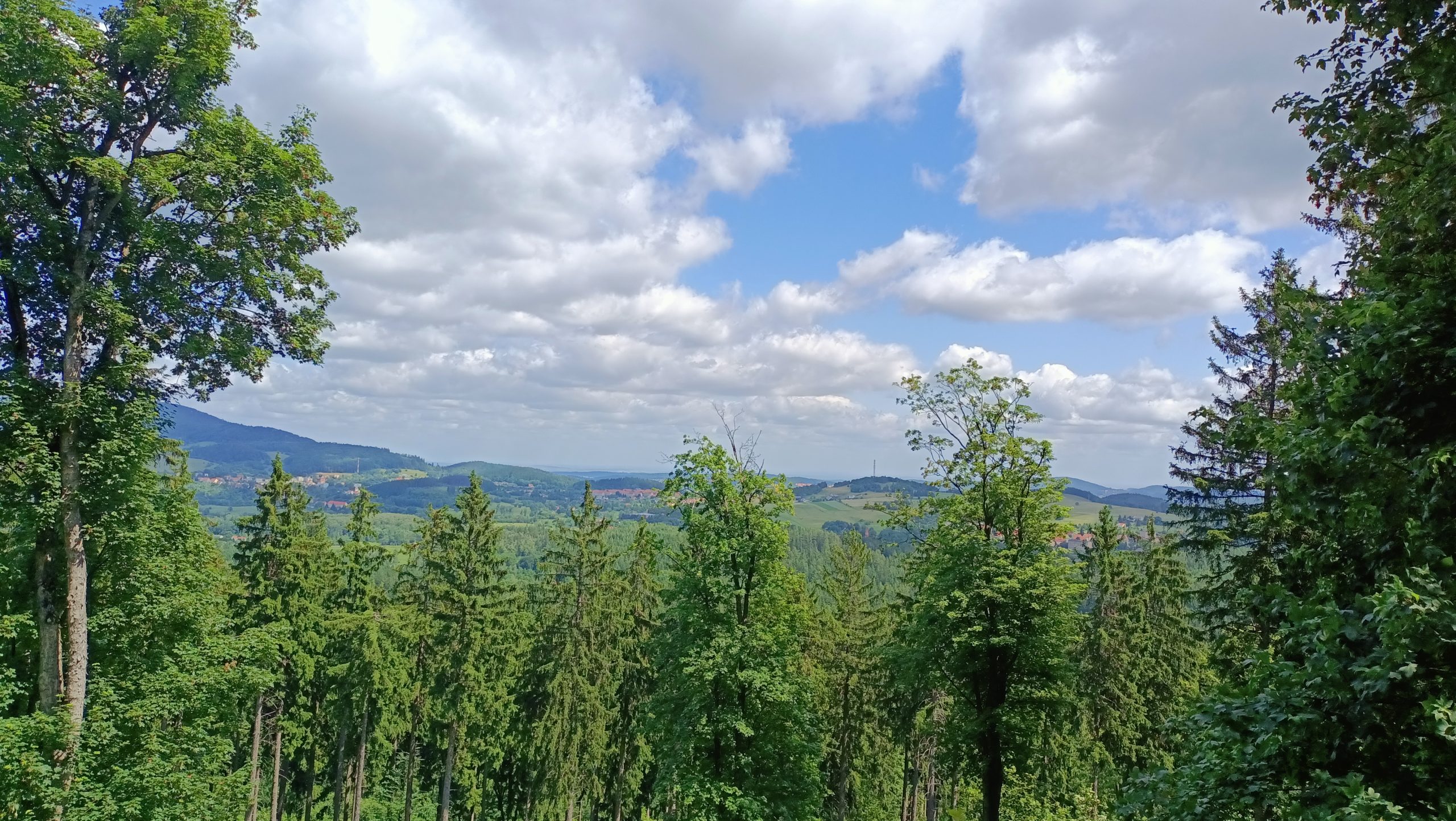 Dzikowiec Wielki: Nowa perła w koronie Sudetów. Dlaczego ta wieża widokowa to absolutny „must-see”?
