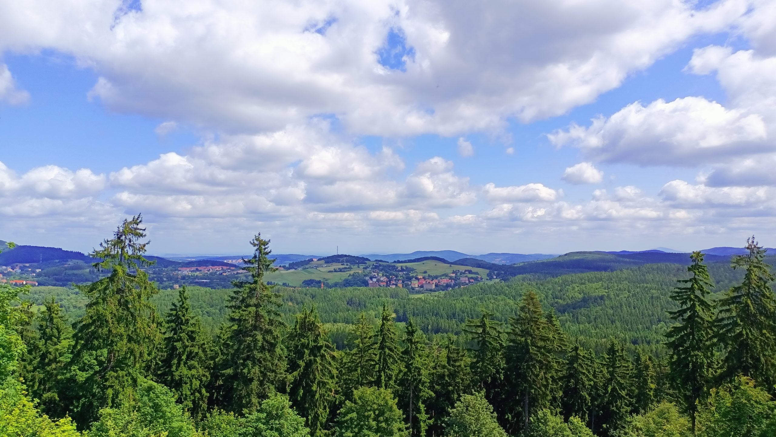 Dzikowiec Wielki: Nowa perła w koronie Sudetów. Dlaczego ta wieża widokowa to absolutny „must-see”?