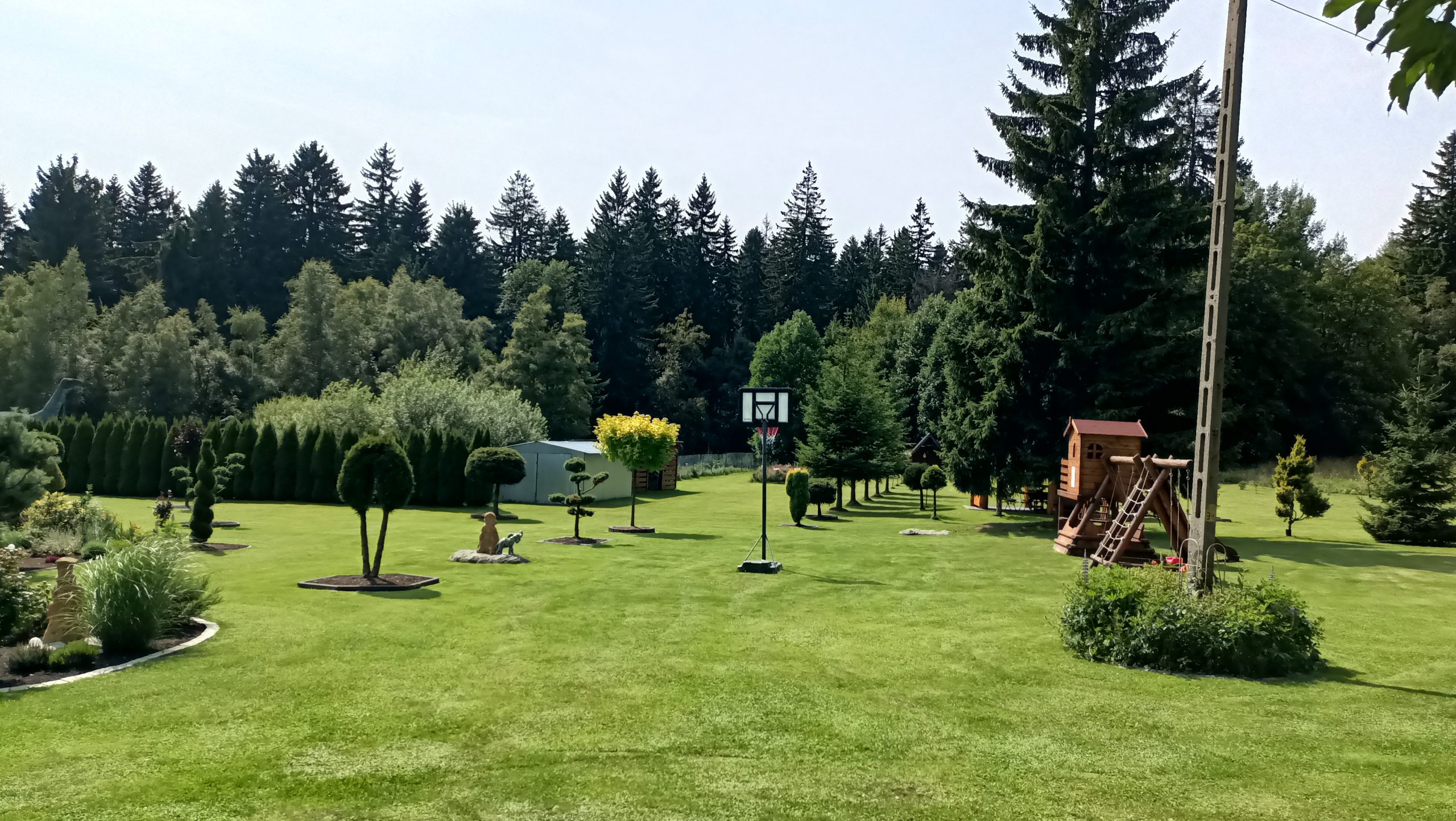 IMG20250807145533