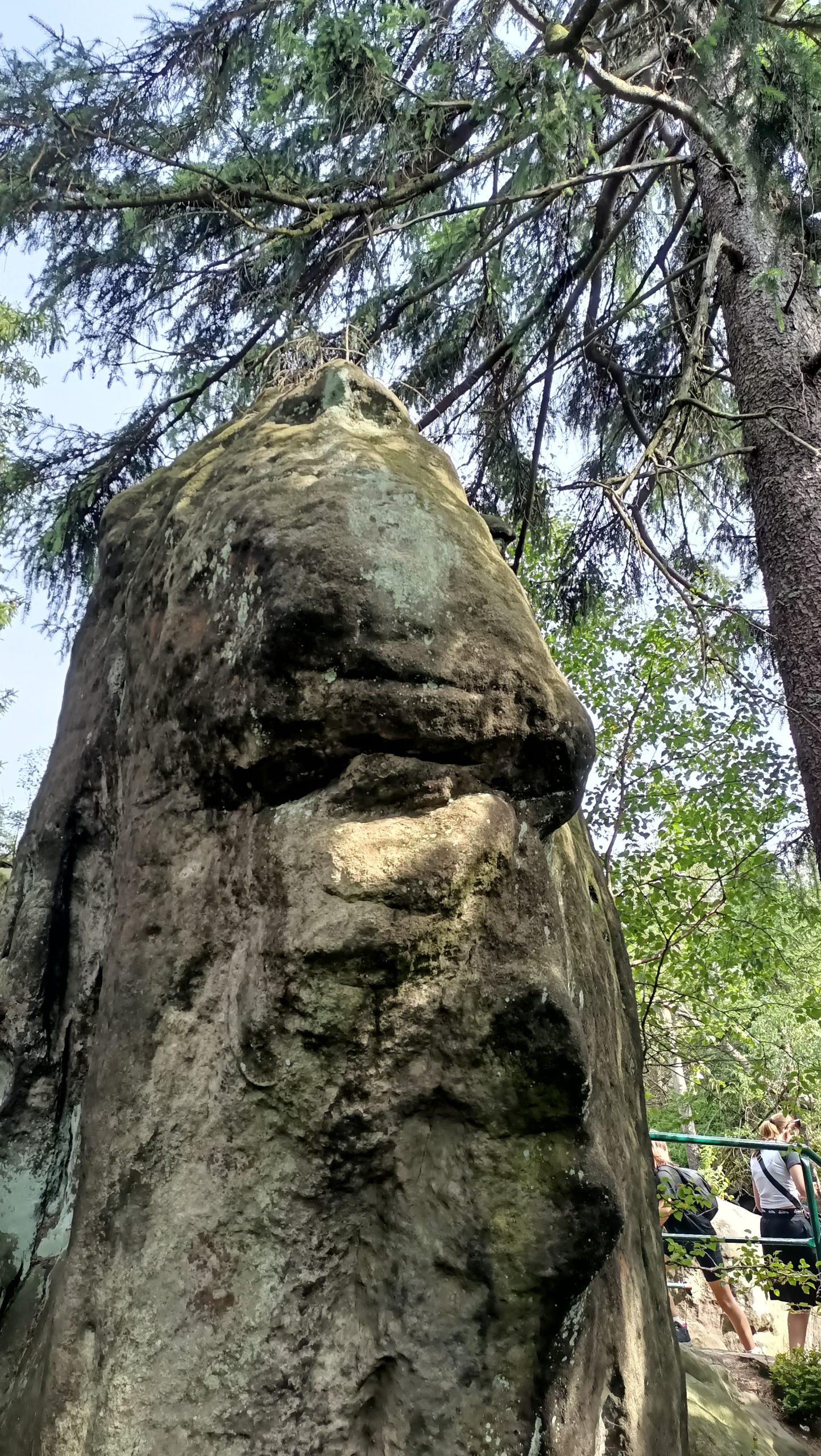 IMG20250807153444
