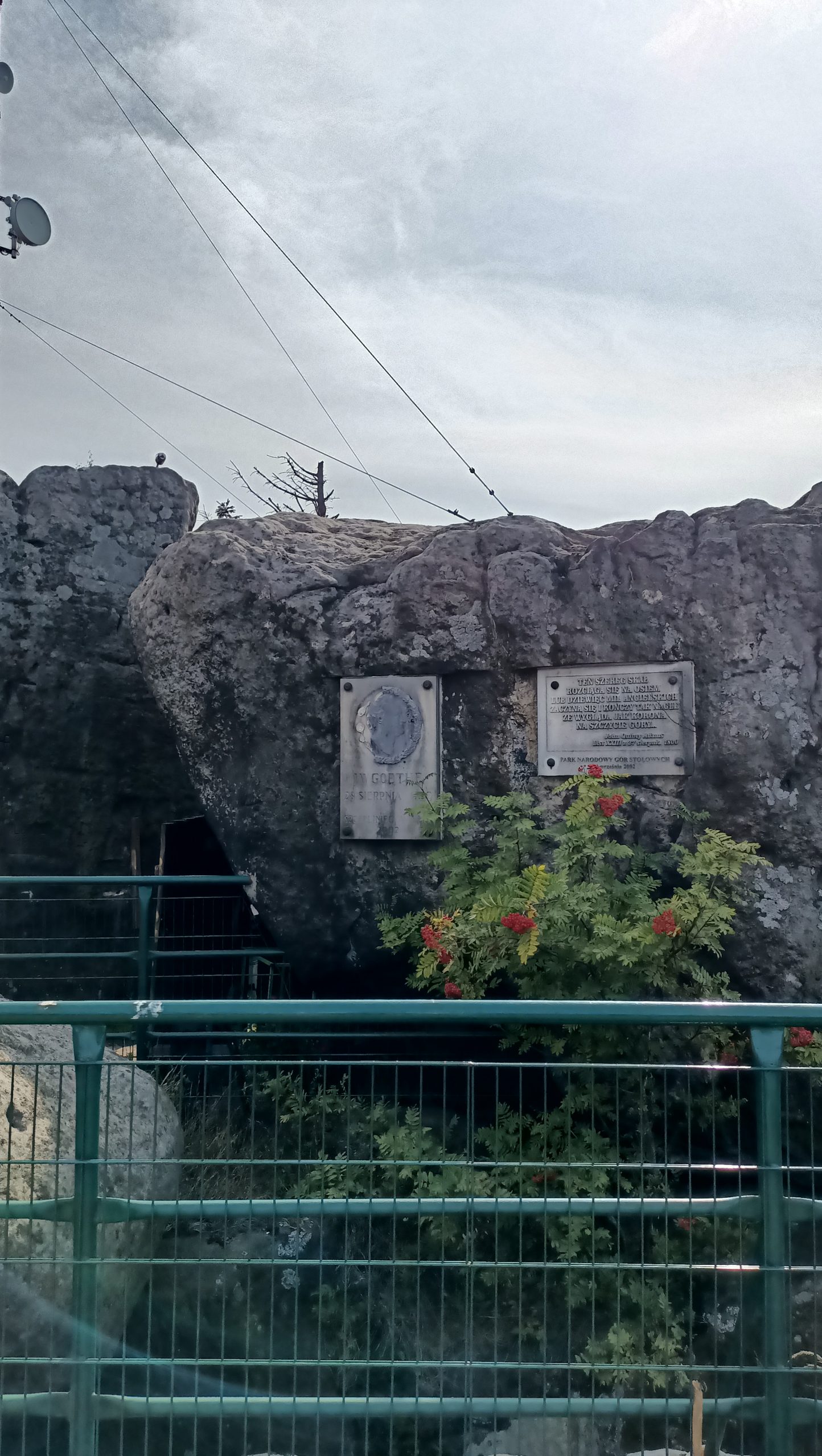 IMG20250807155331