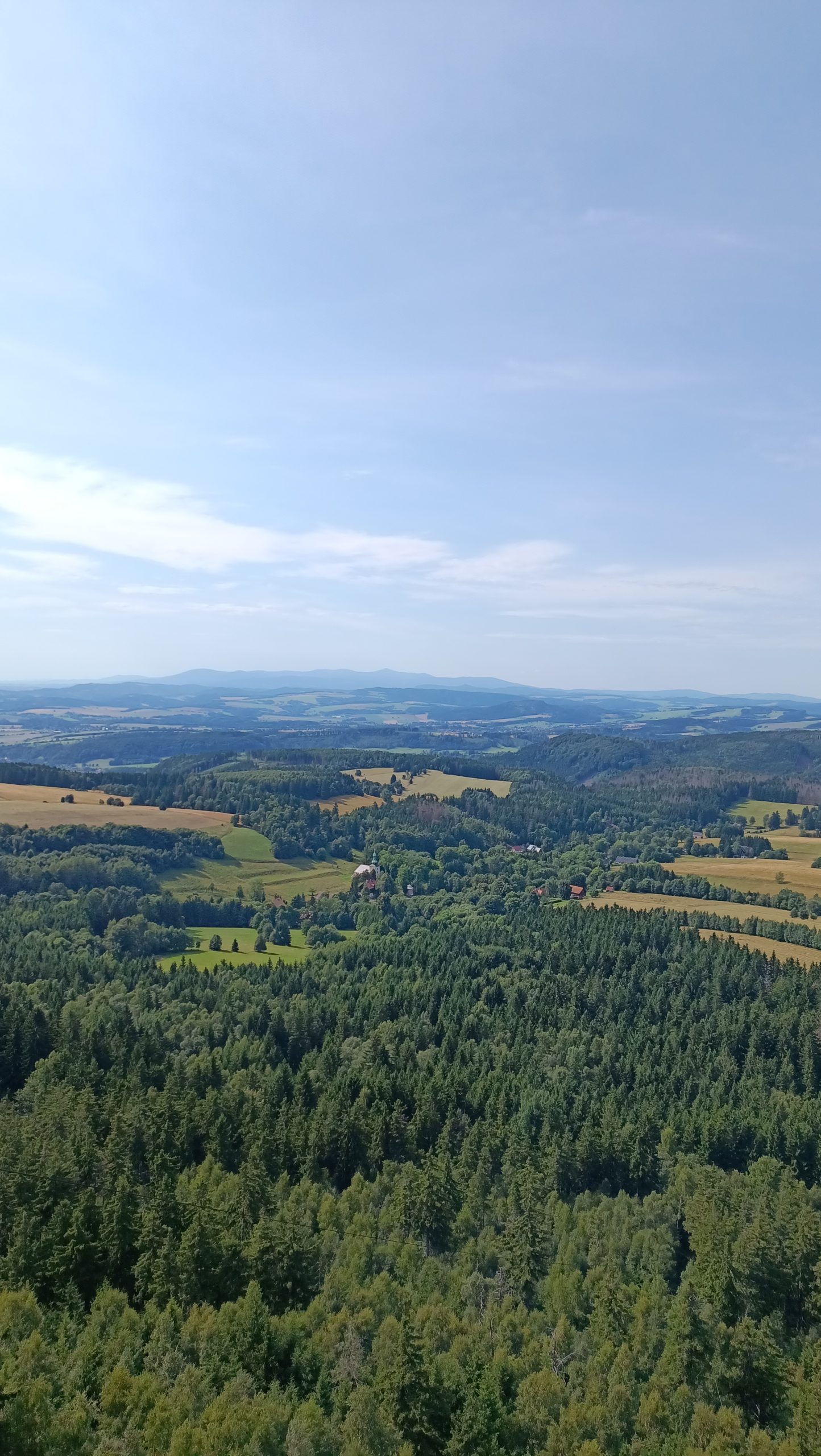 IMG20250807155545