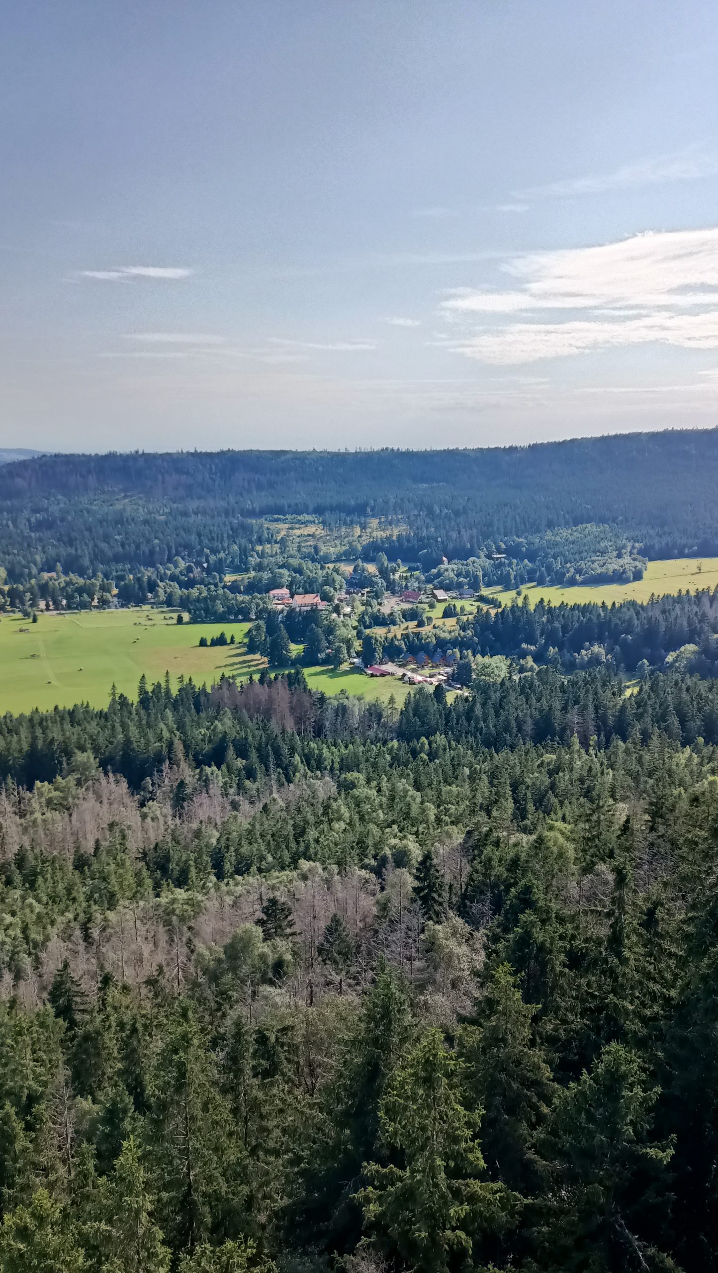 IMG20250807171024